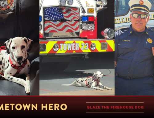 Welcome Blaze the Firehouse Dog